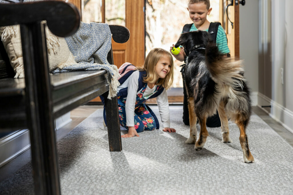 Pet friendly flooring | AJ Rose Carpets