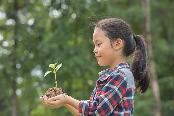 Child with plant | AJ Rose Carpets & Flooring