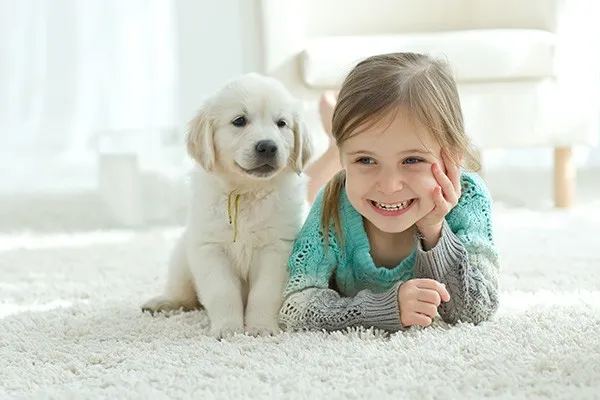 Child with Pet | AJ Rose Carpets & Flooring