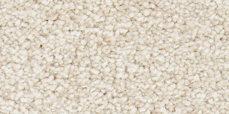 Wool Carpet Swatch