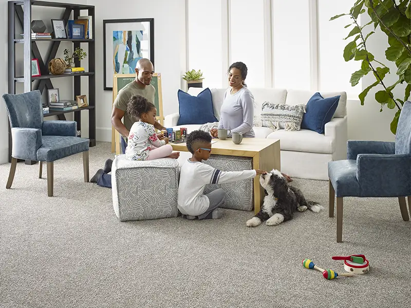 Carpet in living space where family and their pet dog are gathered enjoying each others company