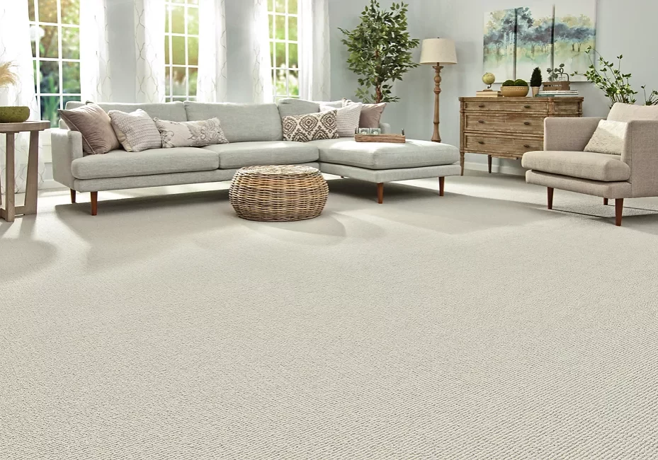 Modern living room carpet flooring