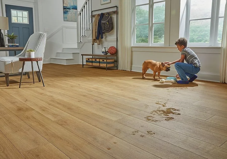 Kid playing with water and dog