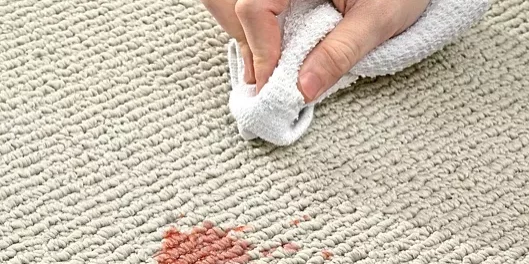 Carpet Stain cleaning